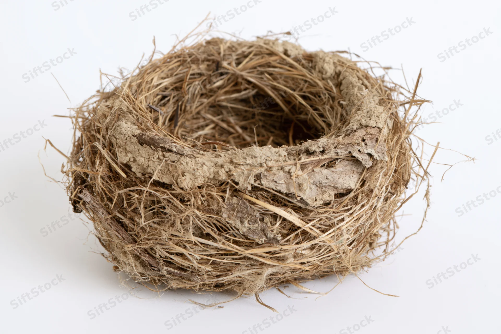 Empty bird nest made of dried grass twigs and mud on white background