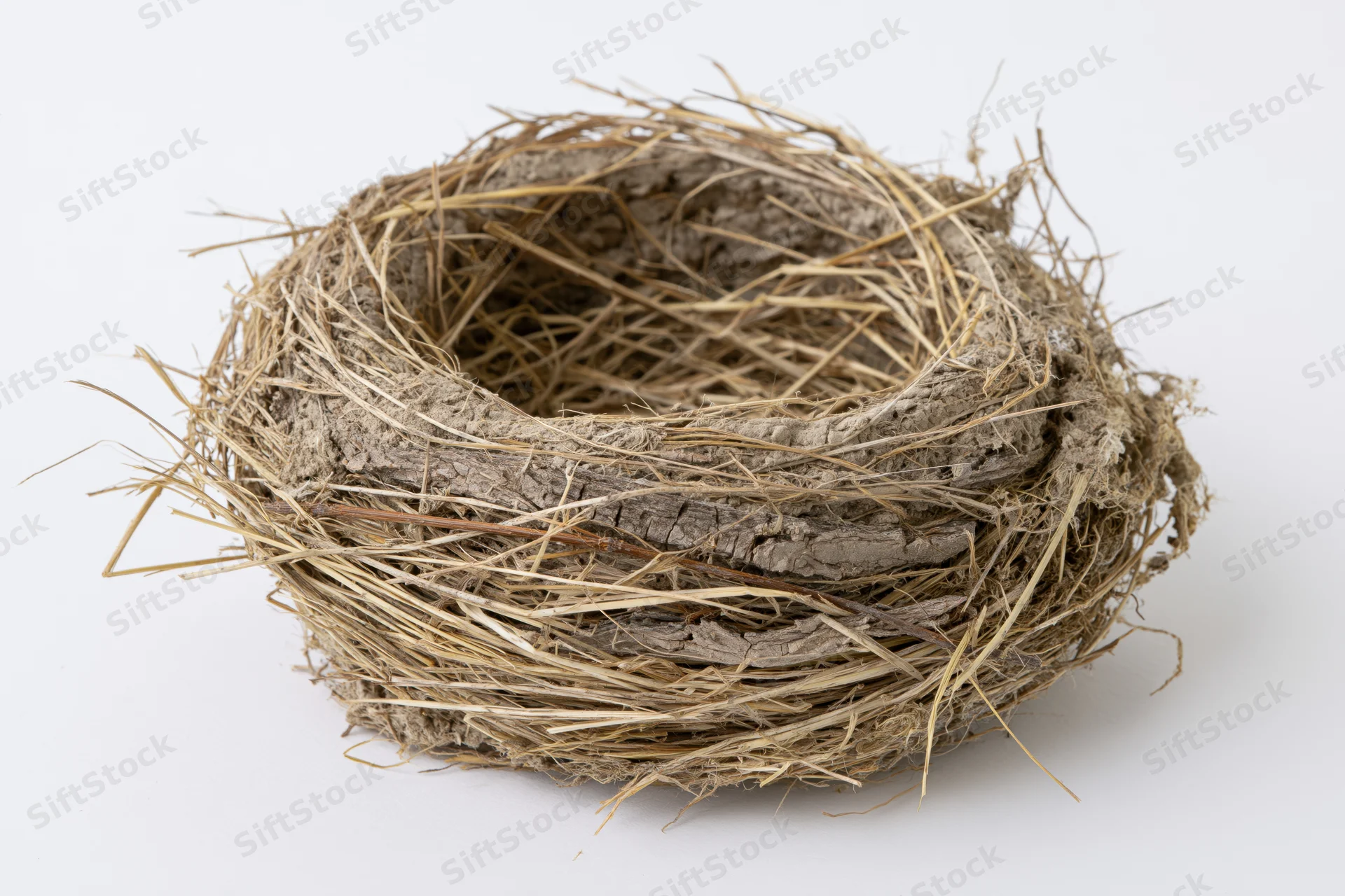 Empty bird nest made of dried grass twigs and mud on white background