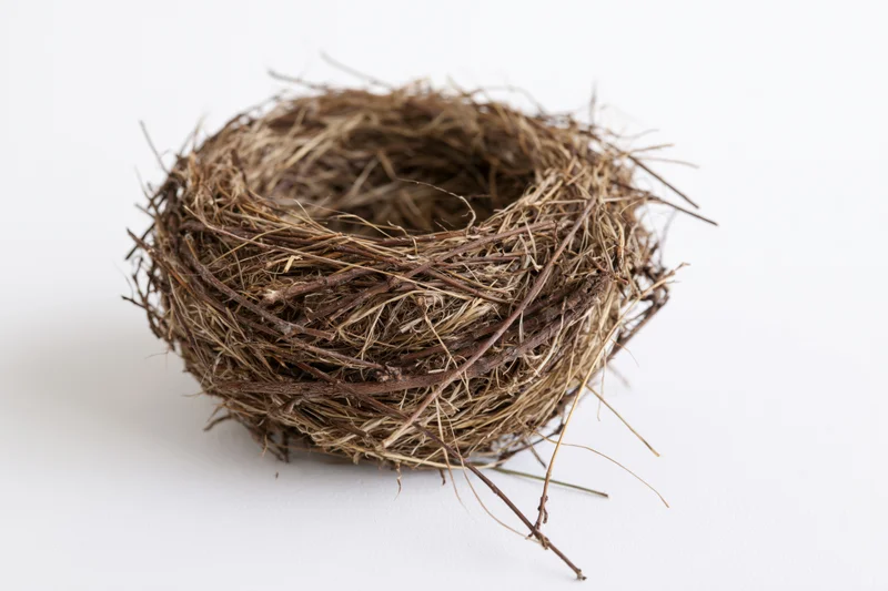 Empty bird nest made of woven twigs and dry grass on white background