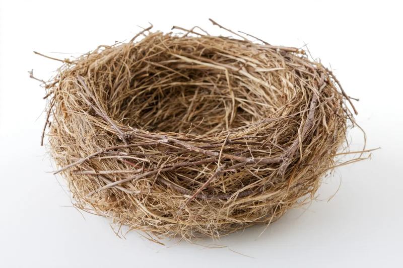 Empty bird nest made of woven twigs and dry grass on white background