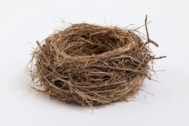 Empty bird nest made of woven twigs and dry grass on white background