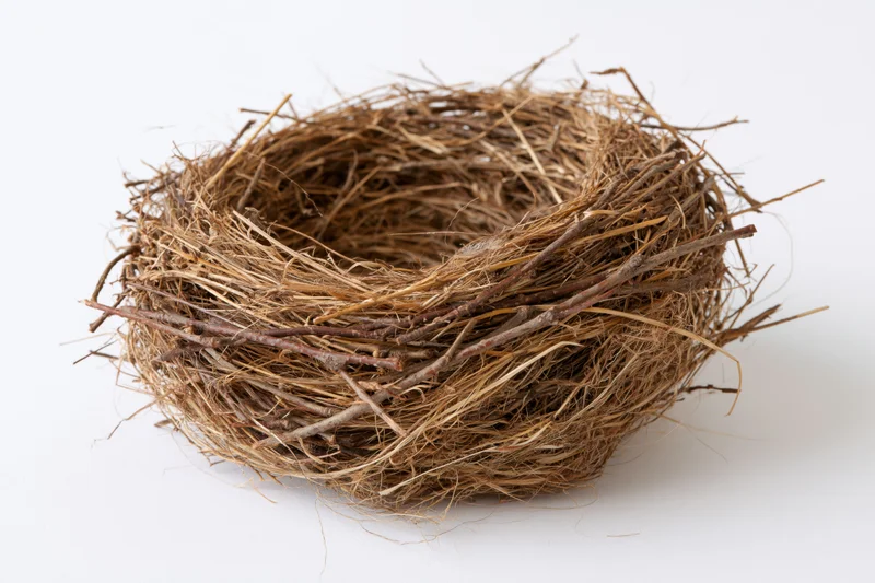 Empty bird nest made of woven twigs and dry grass on white background