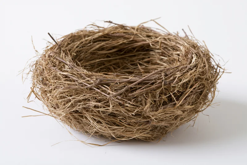 Empty bird nest made of woven twigs and dry grass on white surface