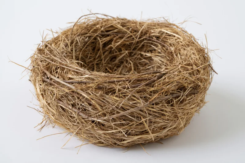 Empty bird nest made of woven twigs and dry grass on white background