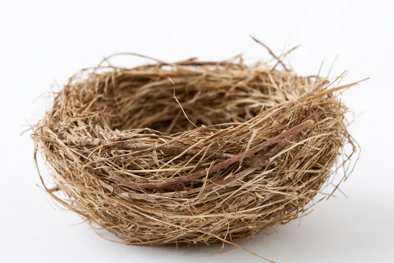 Empty bird nest made of woven twigs and dry grass on white background