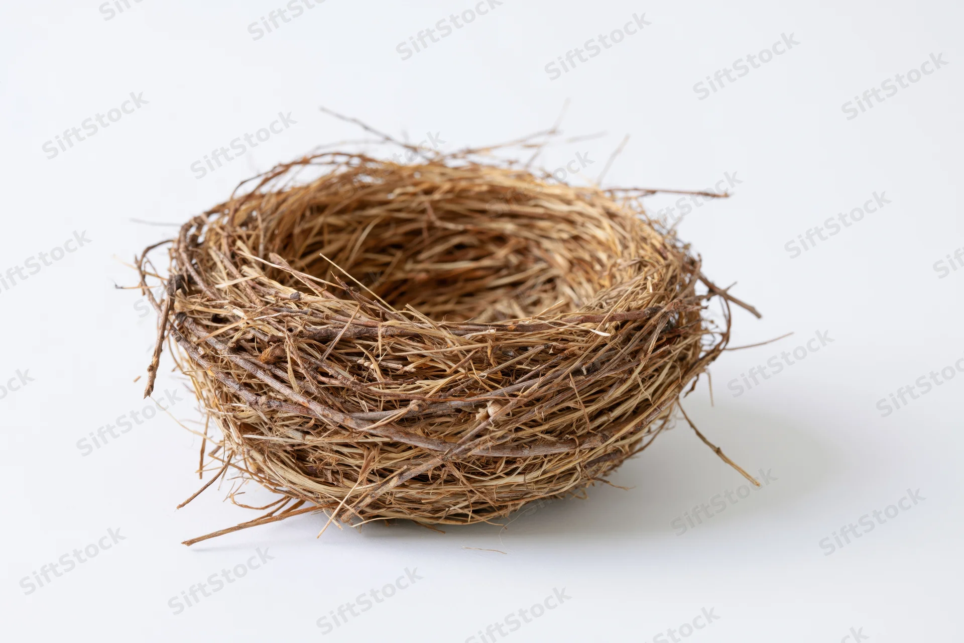 Empty bird nest made of dried twigs and grass on white background