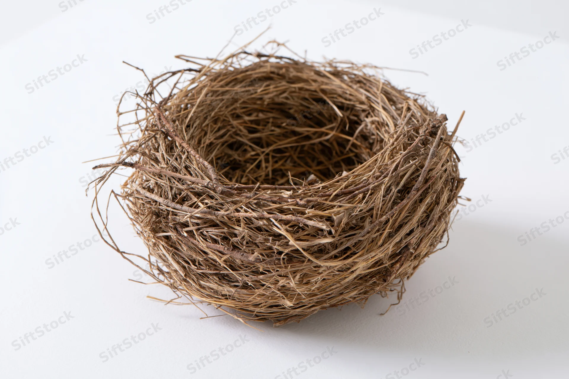 Empty bird nest made of dried twigs and grass on white surface
