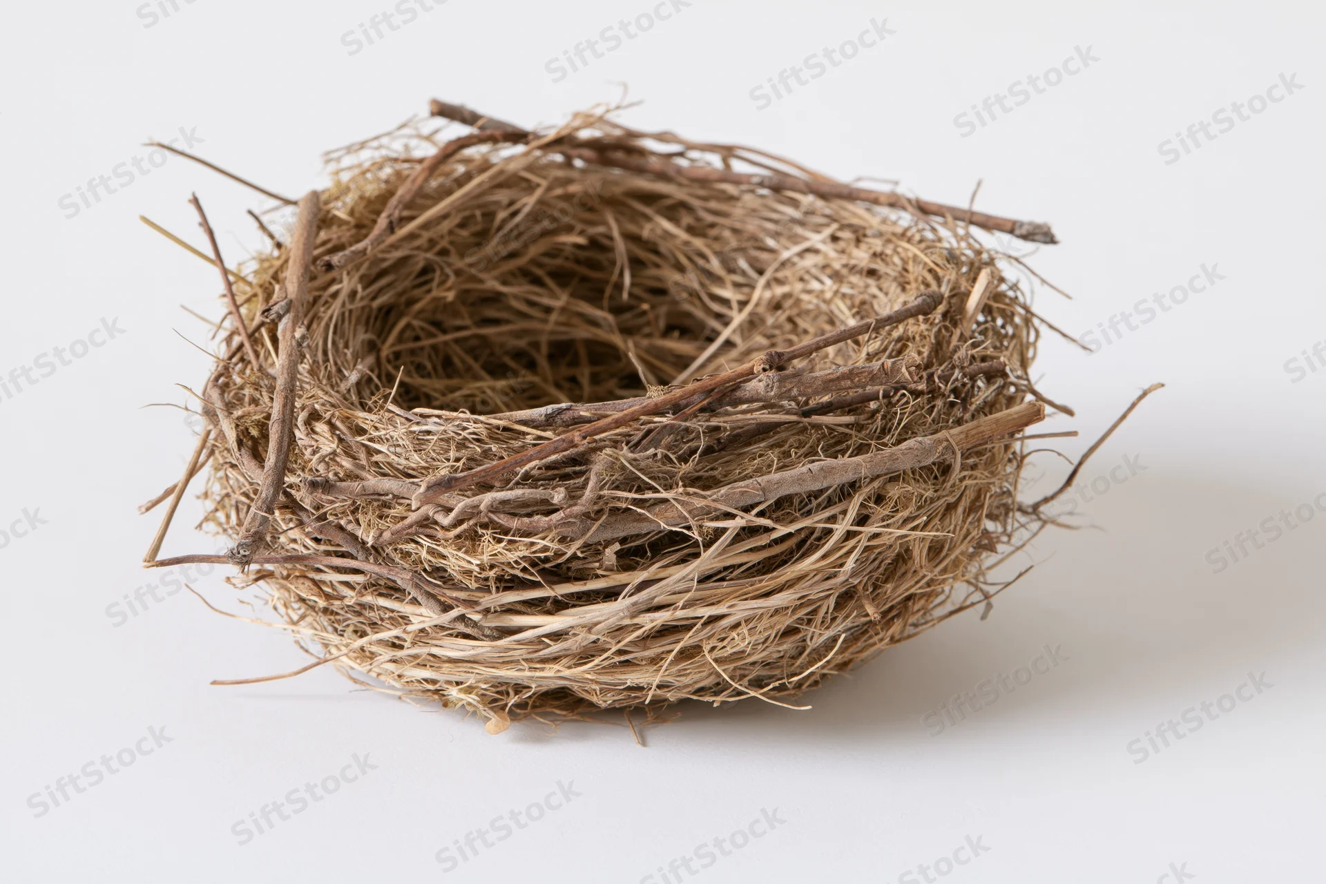 Empty bird nest made of dry twigs and woven grass on white background