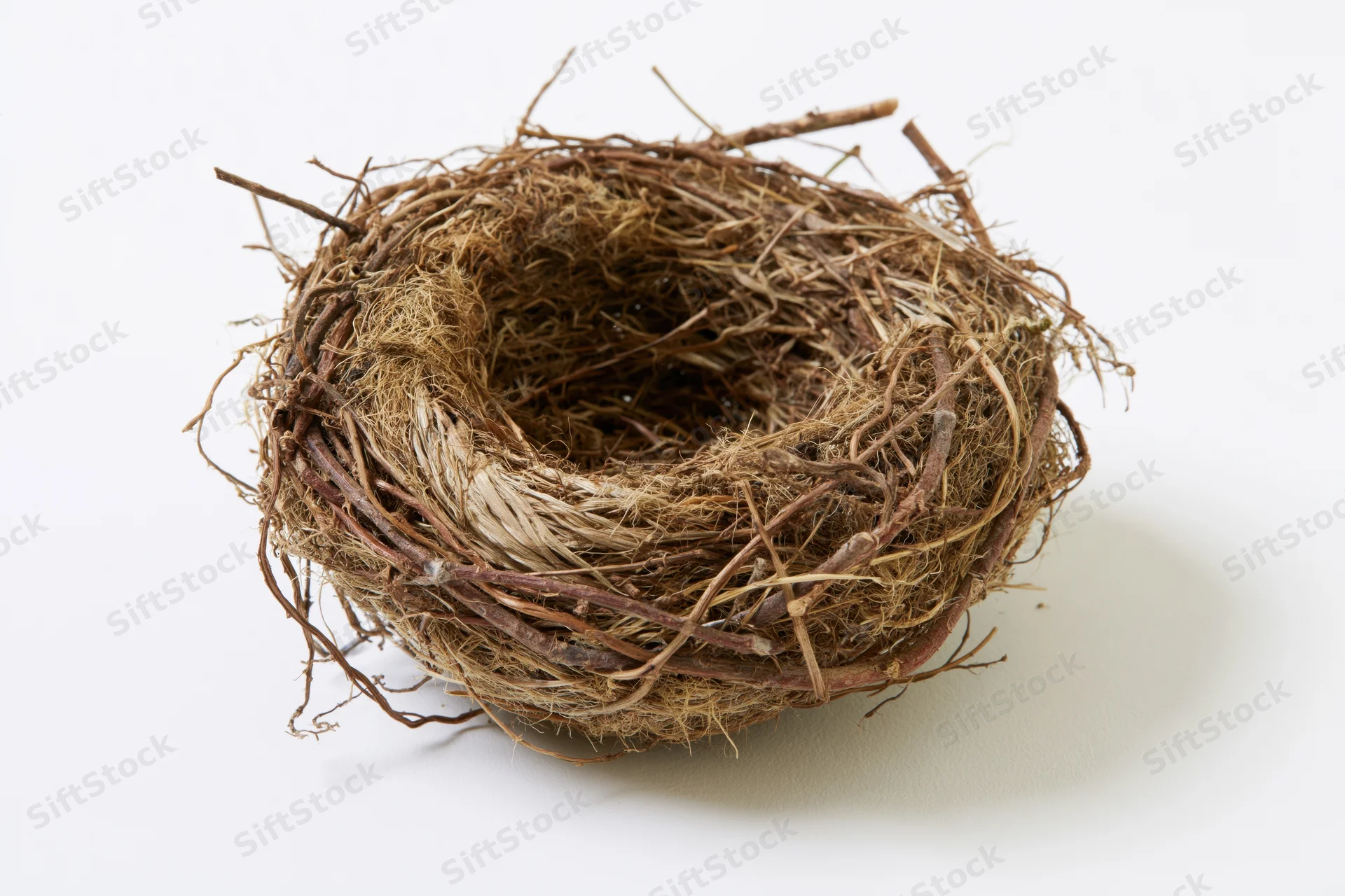 Empty bird nest made of twigs and woven grass on white background