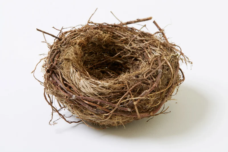 Empty bird nest made of twigs and woven grass on white background