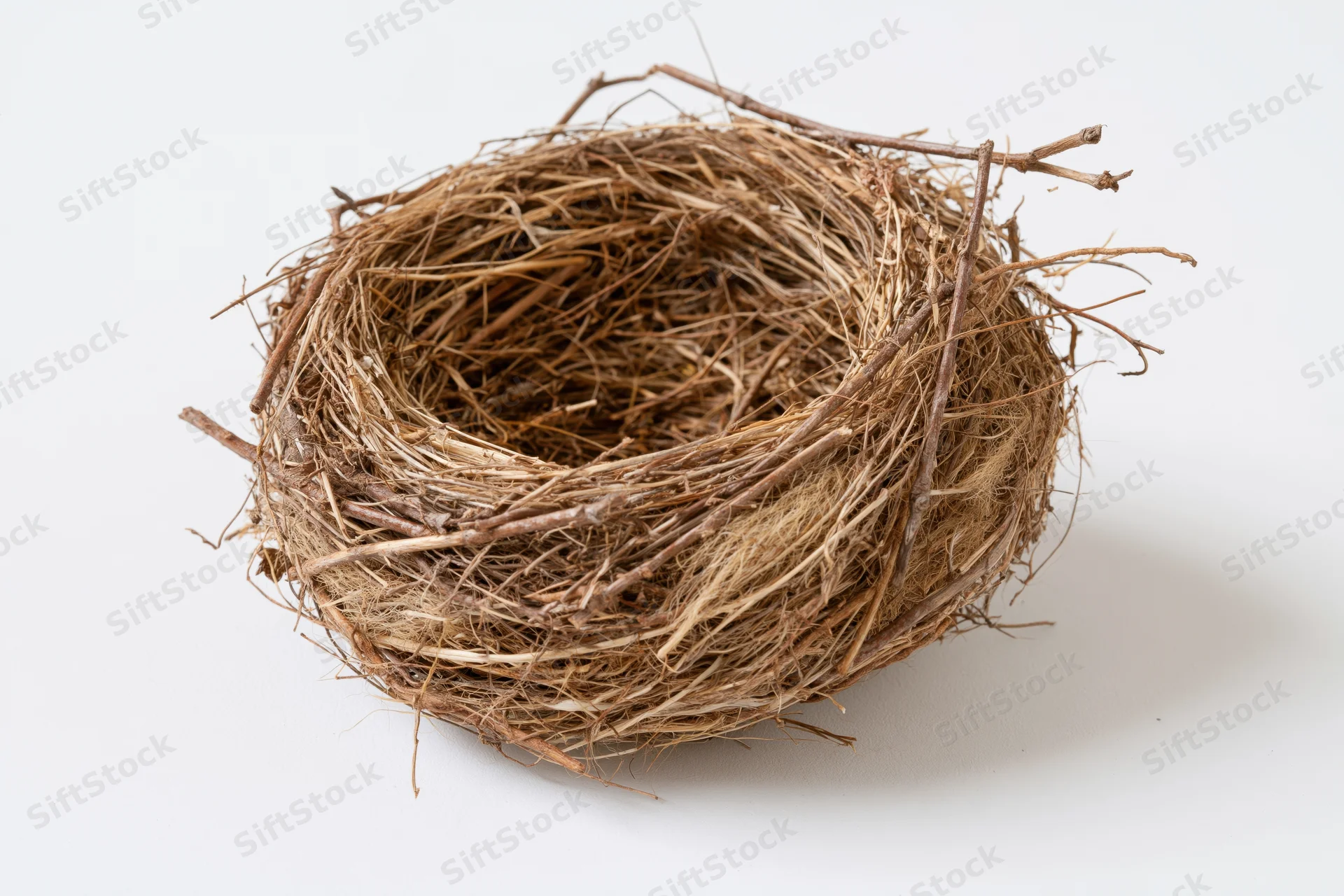 Empty bird nest made of dry twigs and woven grass on white background