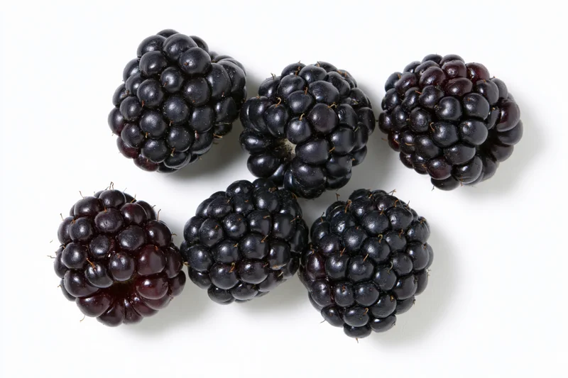 Six ripe blackberries scattered on a white surface