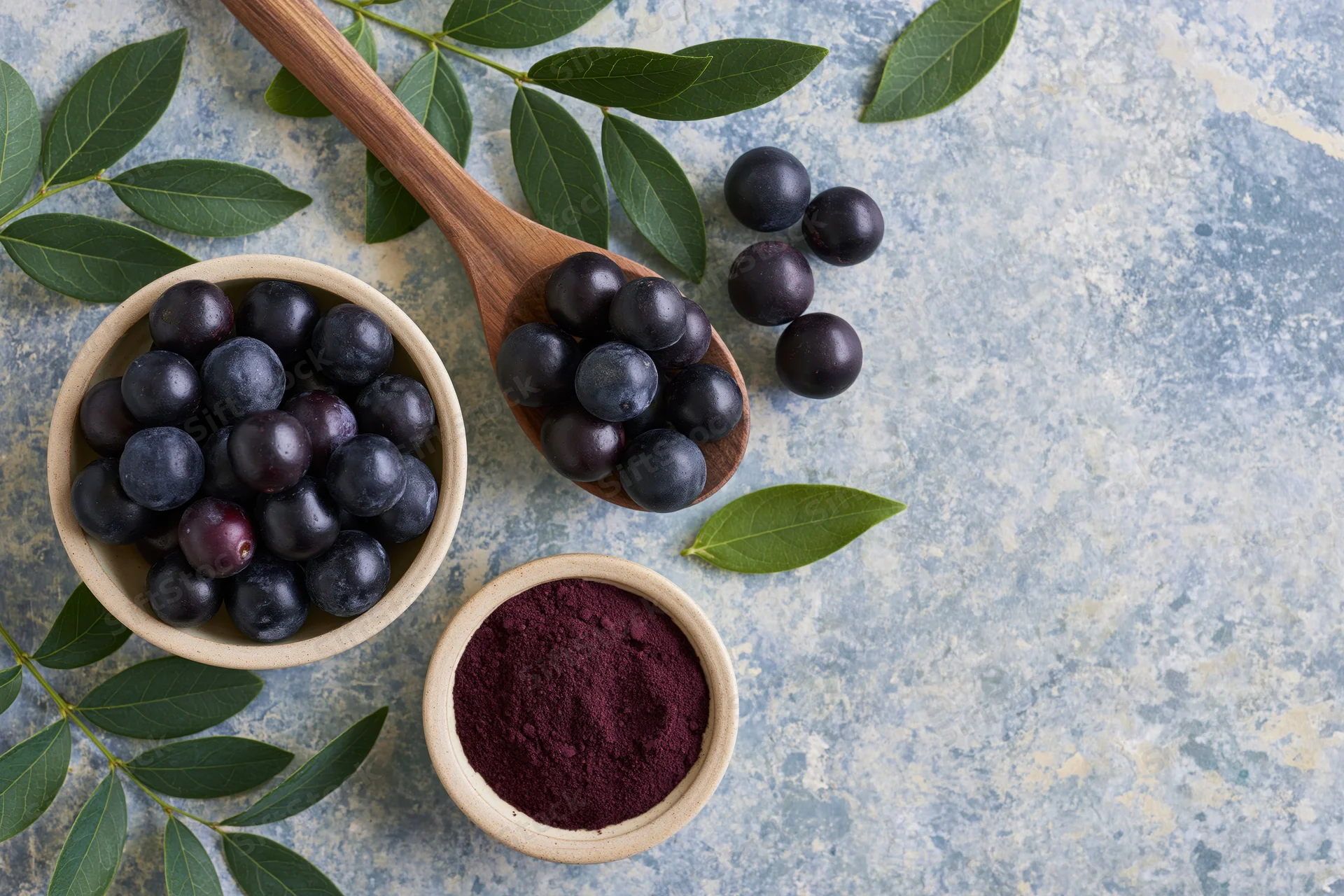 Acai berries and powder in wooden bowls with leaves on a stone surface