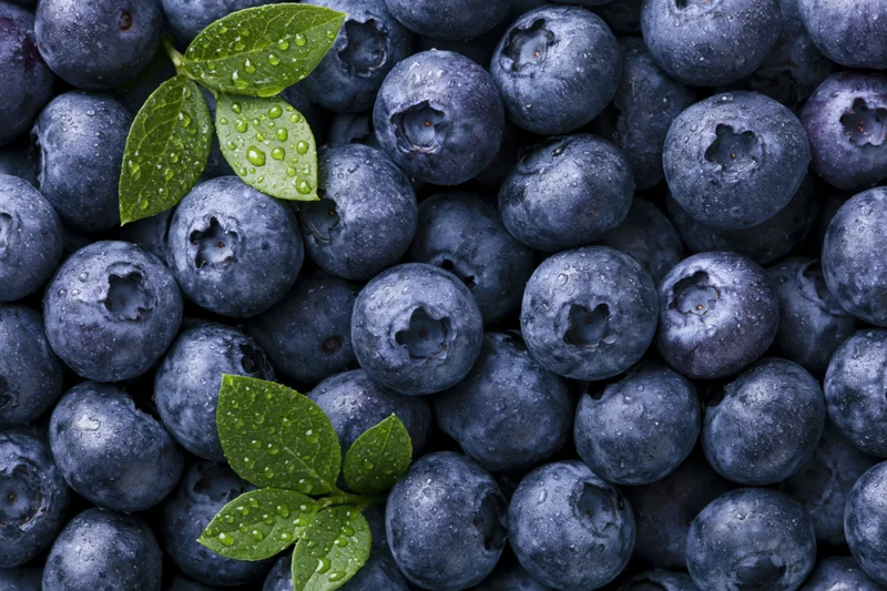 Closeup of fresh blueberries with green leaves and water droplets filling the frame