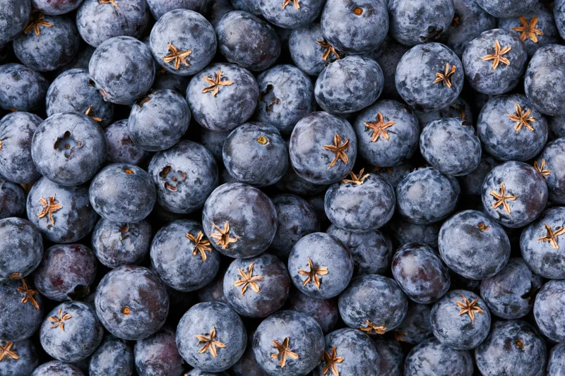 Closeup of fresh blueberries packed tightly in a flat lay arrangement
