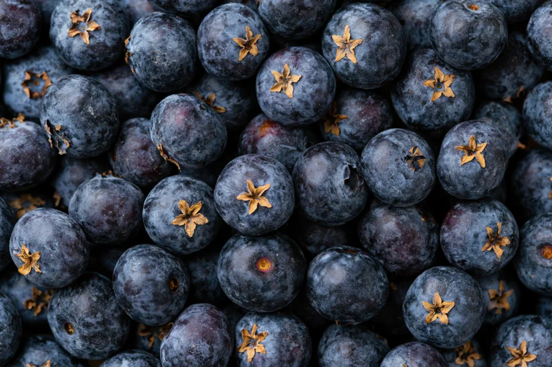 Closeup of fresh blueberries packed tightly in a flat lay arrangement