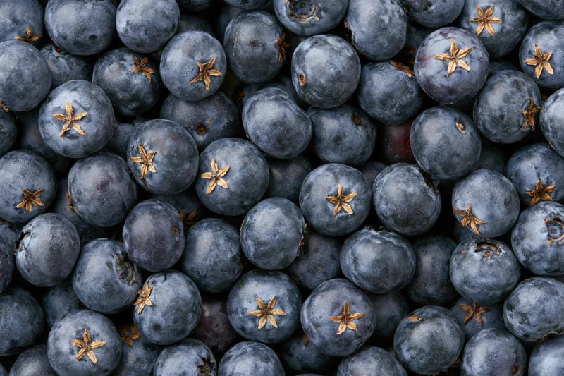 Closeup of fresh blueberries packed tightly in a flat lay arrangement