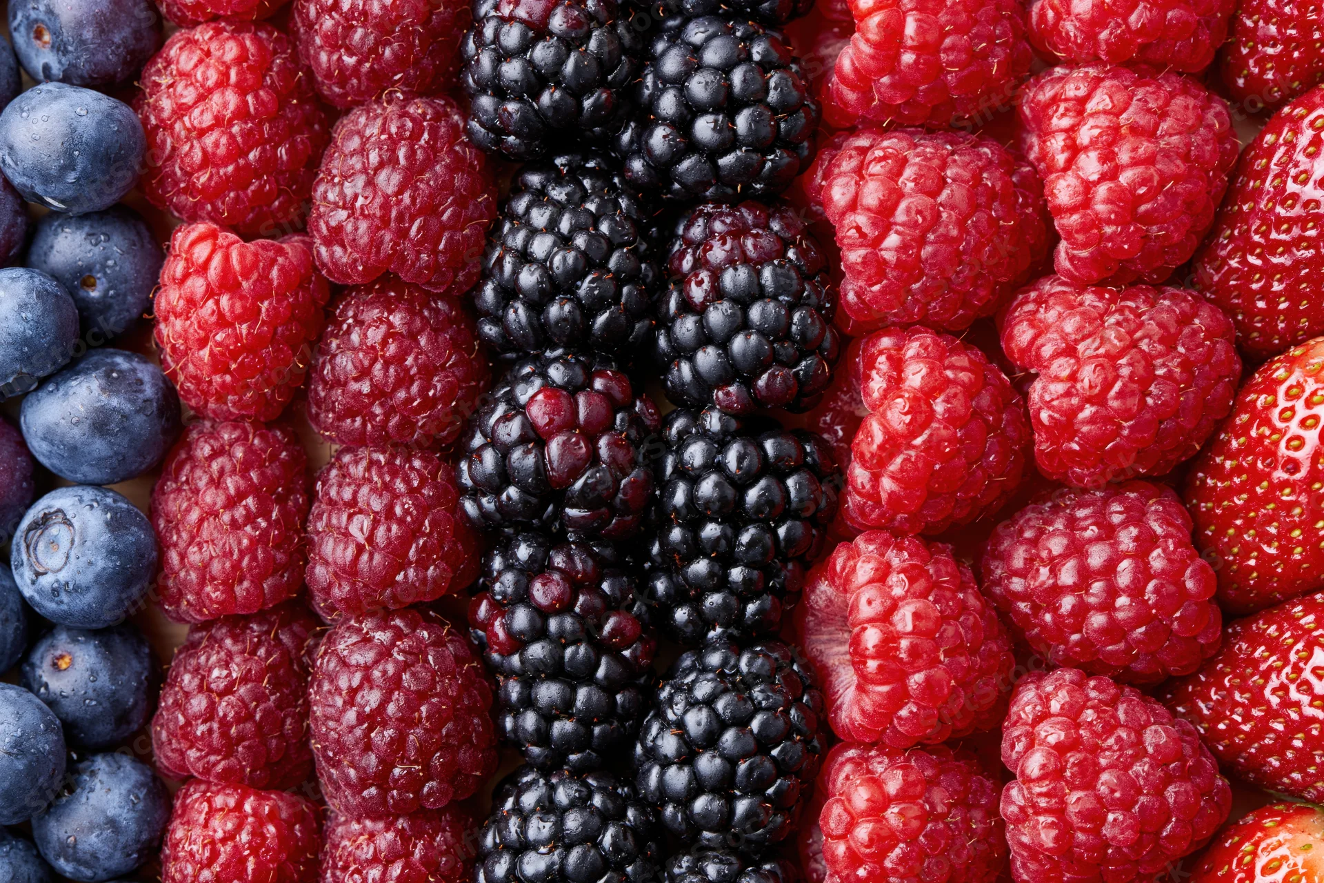 Four varieties of fresh berries arranged in vertical stripes on a flat surface
