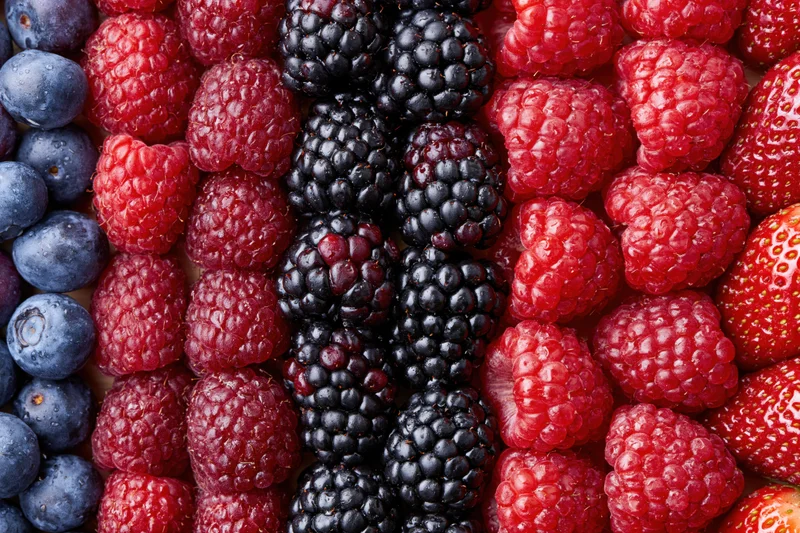 Four varieties of fresh berries arranged in vertical stripes on a flat surface