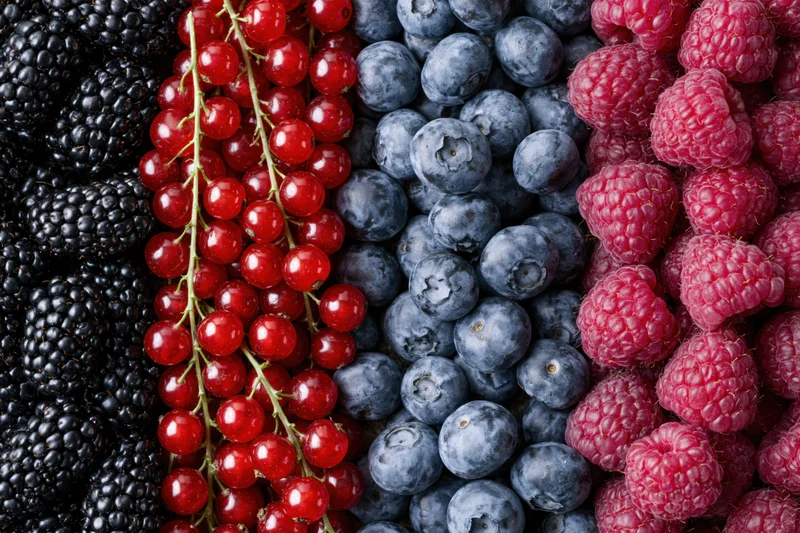 Four varieties of fresh berries arranged in vertical stripes