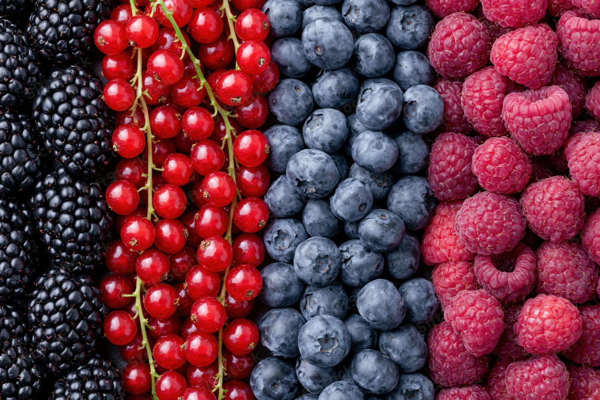Four varieties of fresh berries arranged in vertical stripes