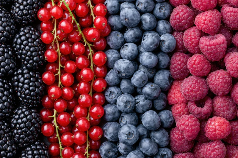 Four varieties of fresh berries arranged in vertical stripes
