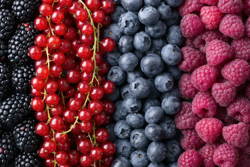 Four varieties of fresh berries arranged in vertical stripes
