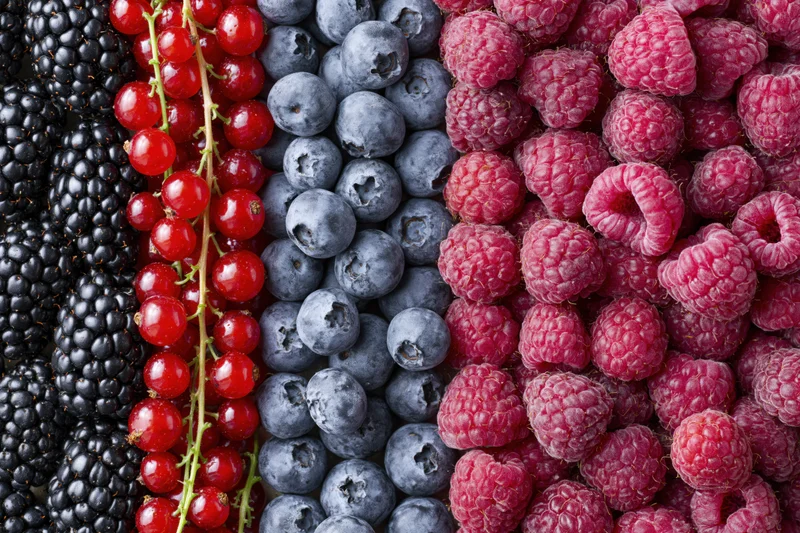 Four varieties of fresh berries arranged in vertical stripes