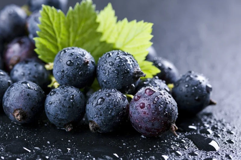 Fresh black currants with water droplets and green leaves on dark surface