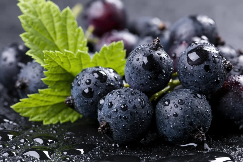 Fresh black currants with water droplets and green leaf on dark surface
