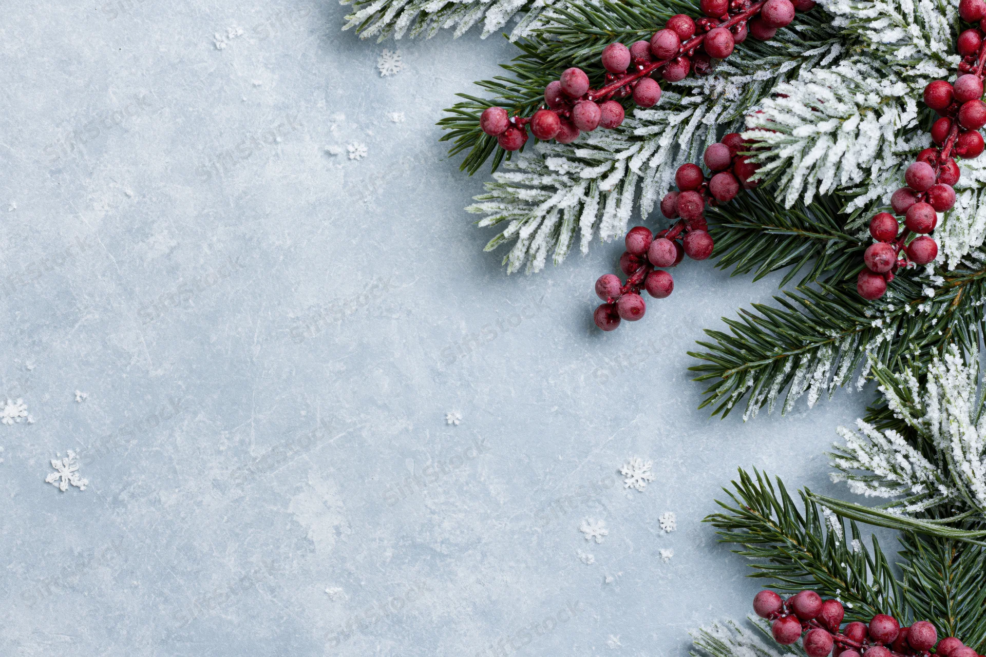 Frost-dusted pine branches with red holly berries arranged on a textured light blue surface with snowflakes and copyspace