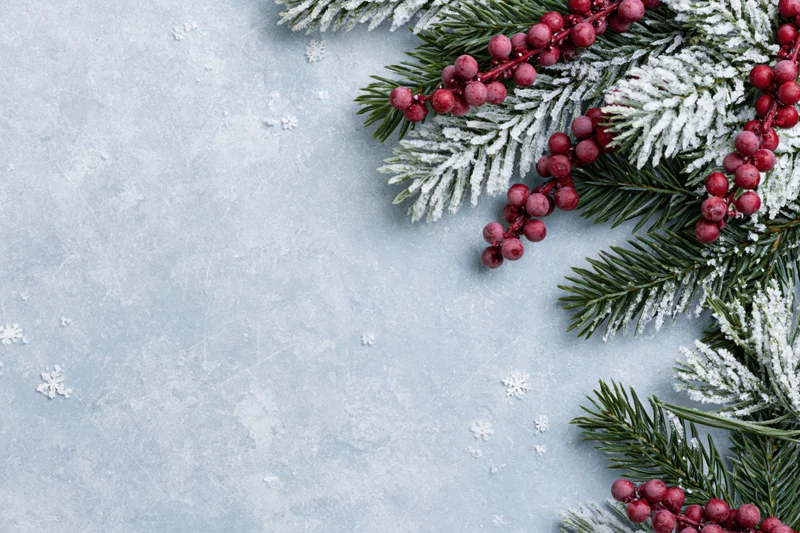 Frost-dusted pine branches with red holly berries arranged on a textured light blue surface with snowflakes and copyspace