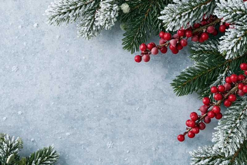 Frost-dusted pine branches with red holly berries arranged on a snowy textured surface
