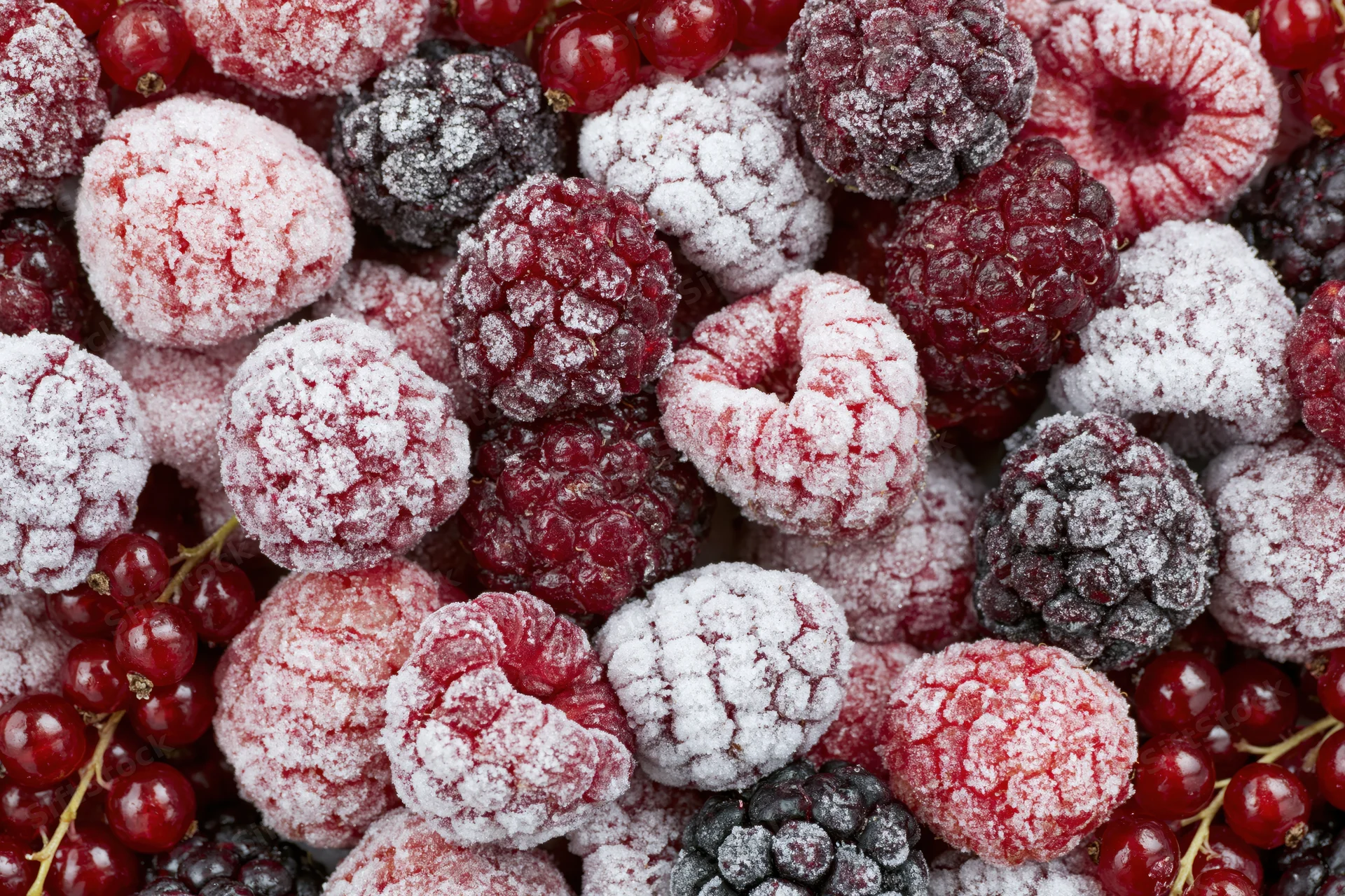 Closeup of frozen mixed berries including raspberries, blackberries and redcurrants covered in frost