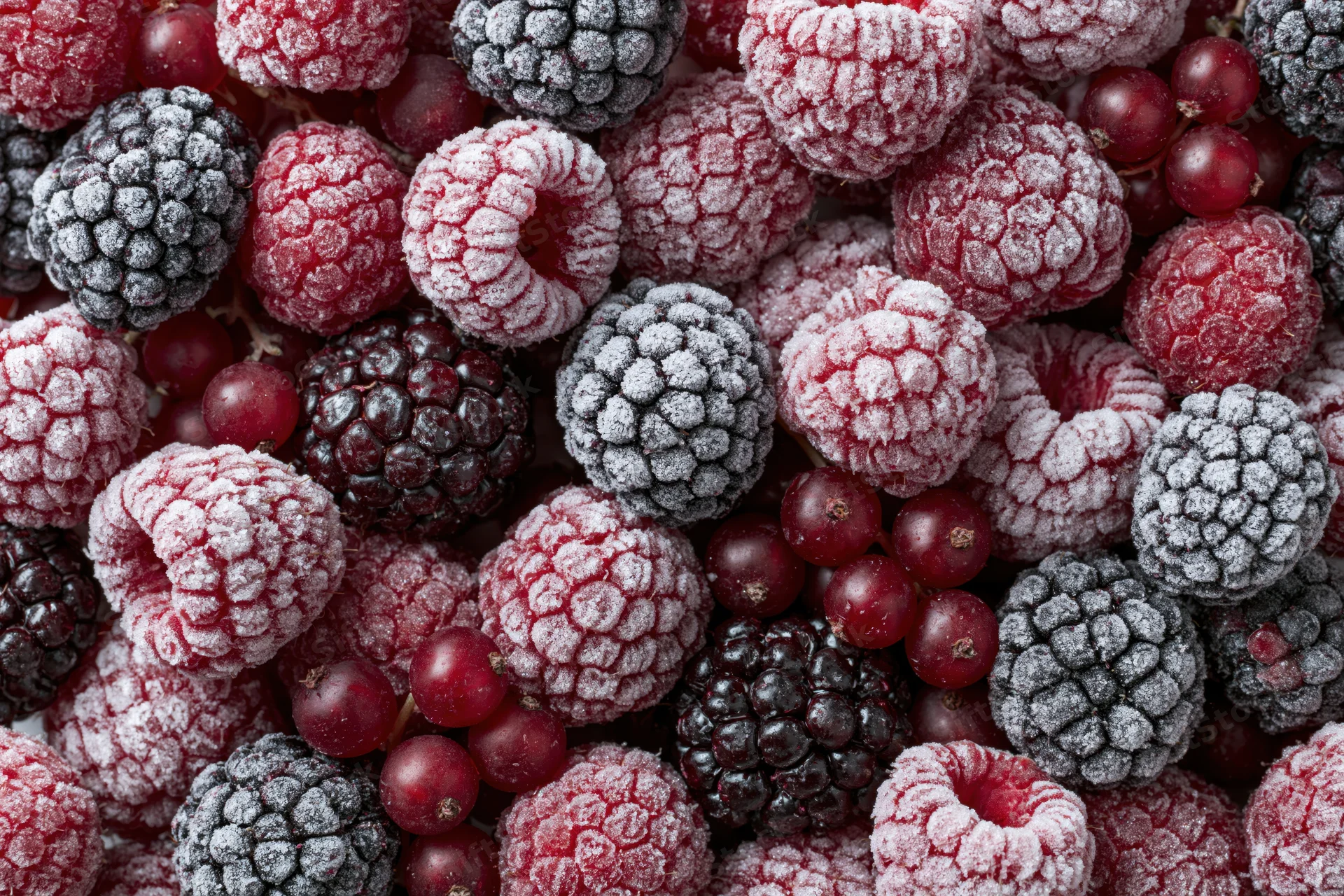 Frozen mixed berries including raspberries blackberries and redcurrants covered in frost