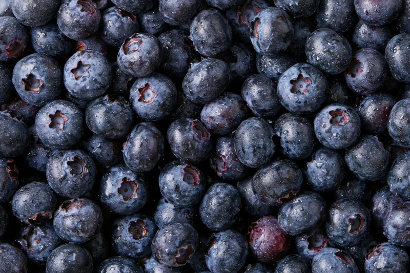 Closeup of fresh blueberries covered in water droplets filling the frame