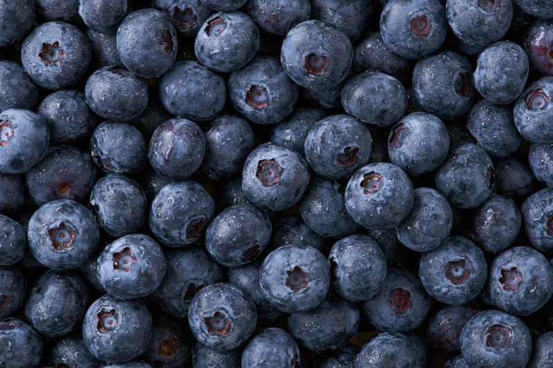 Closeup of fresh blueberries filling the frame with water droplets on their surface