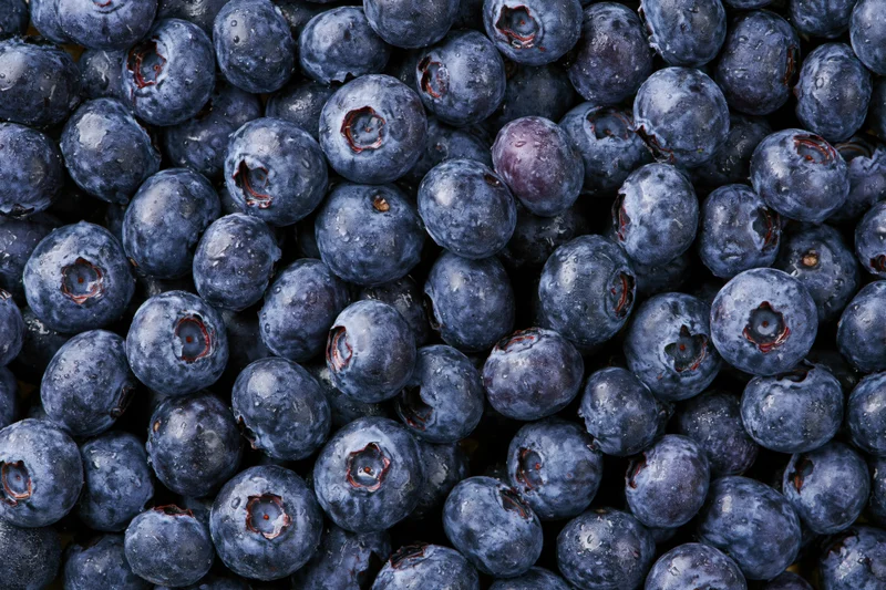 Closeup of fresh blueberries filling the frame with glossy texture and natural color