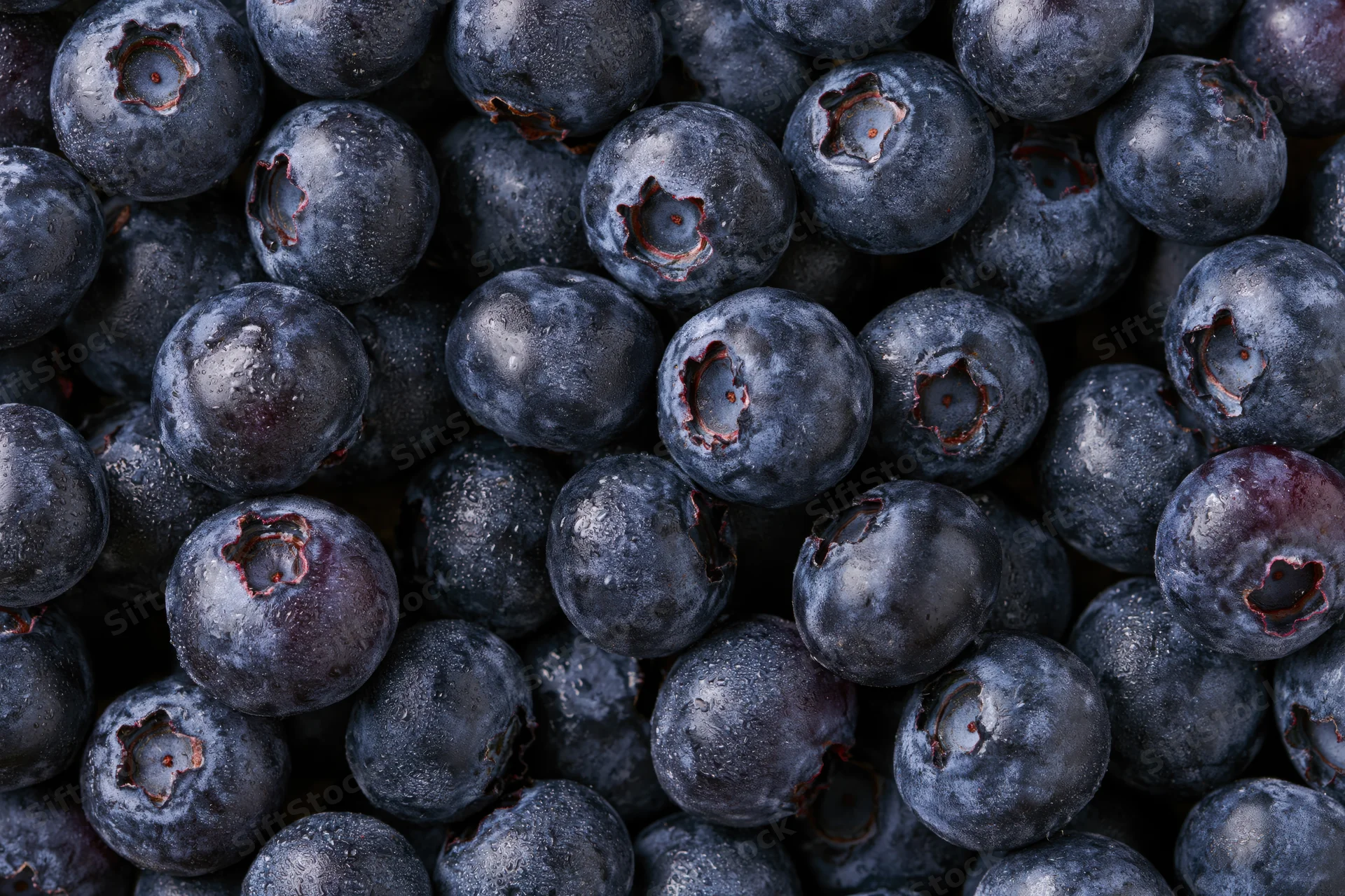 Closeup of fresh blueberries filling the frame with visible texture and moisture