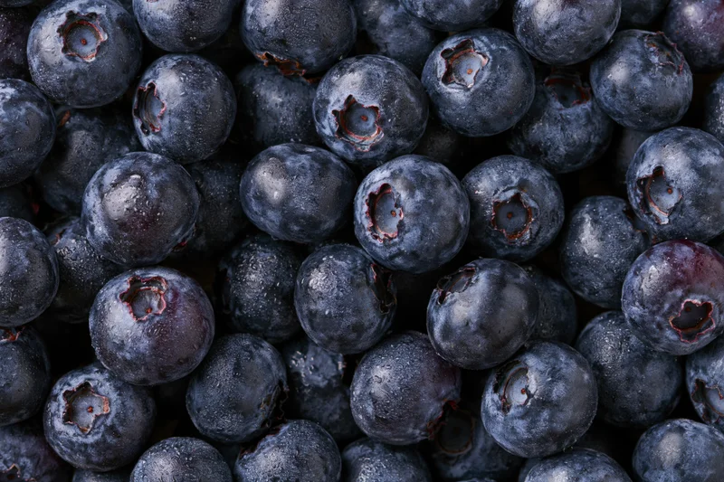 Closeup of fresh blueberries filling the frame with visible texture and moisture