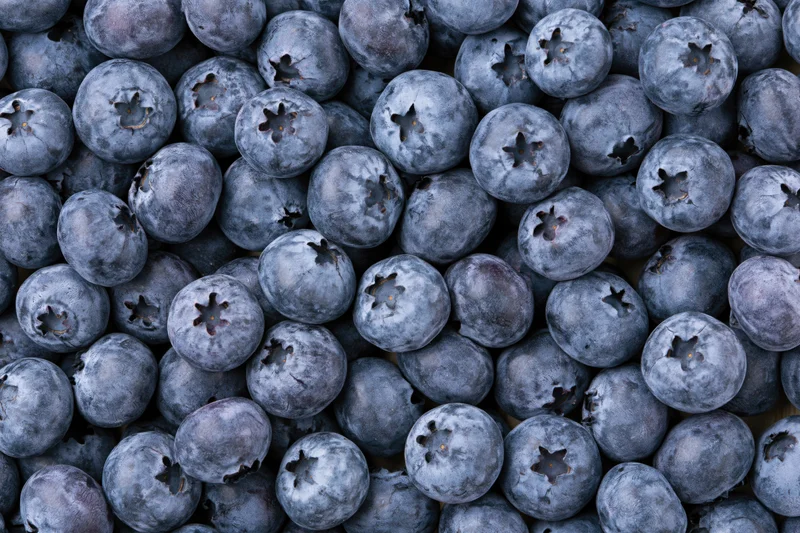 Closeup of fresh blueberries filling the frame with glossy texture and natural color variation