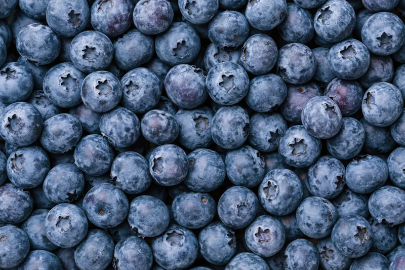 Closeup of fresh blueberries filling the frame with natural texture and glossy surface