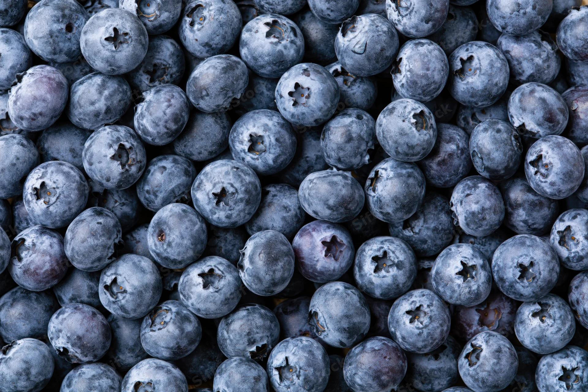 Closeup of fresh blueberries filling the frame