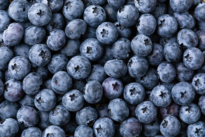 Closeup of fresh blueberries filling the frame