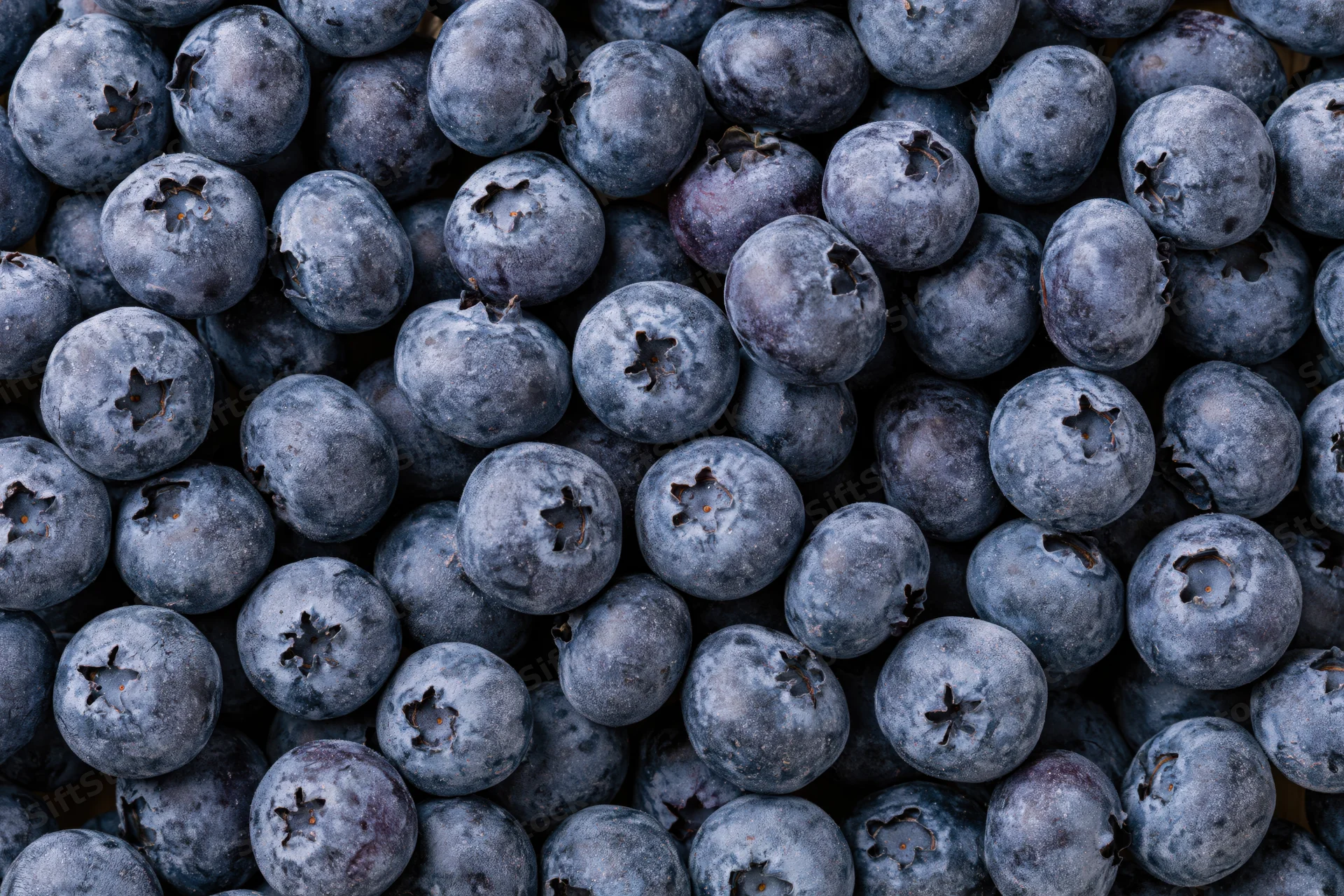 Closeup of fresh blueberries filling the frame with natural texture and surface detail