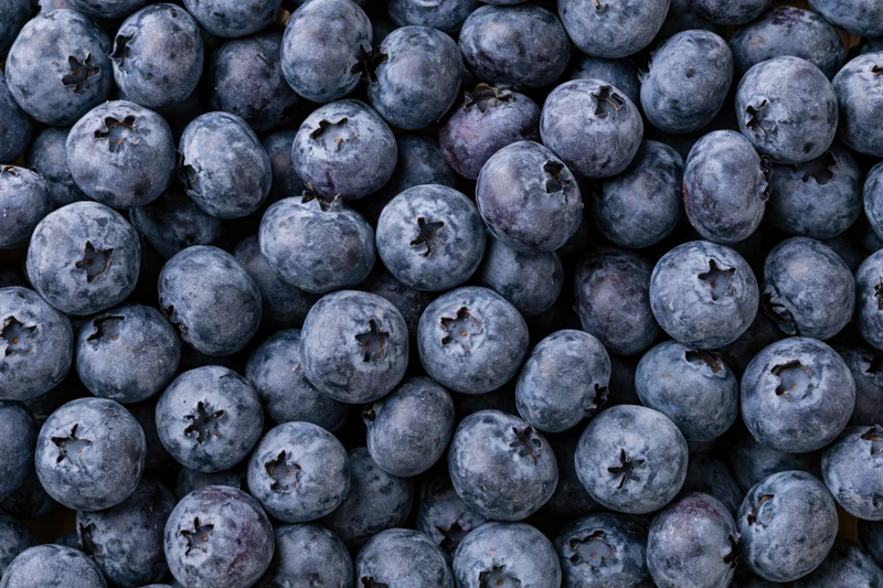 Closeup of fresh blueberries filling the frame with natural texture and surface detail