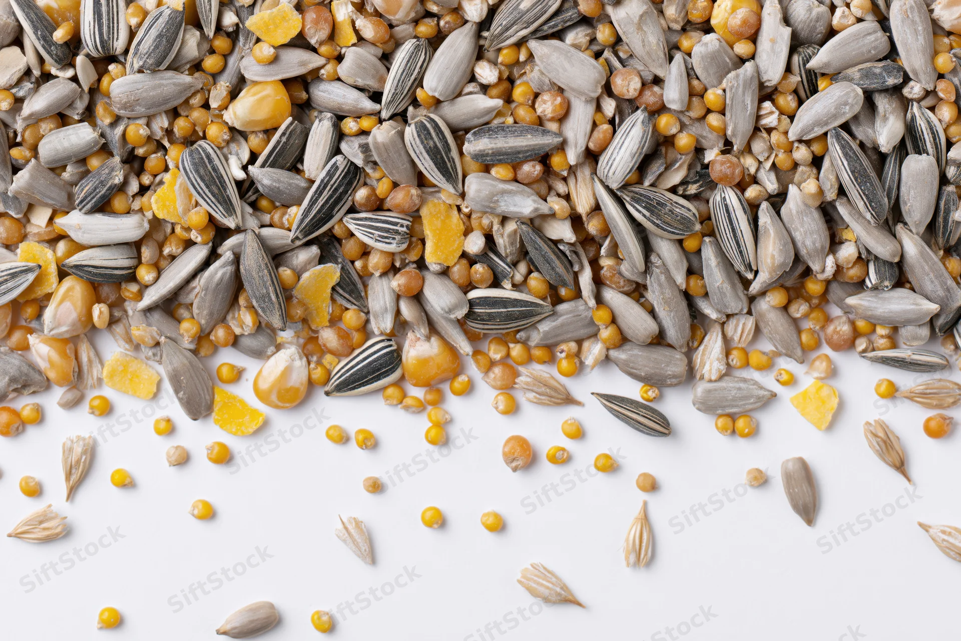 Mixed birdseed blend scattered across white surface viewed from above