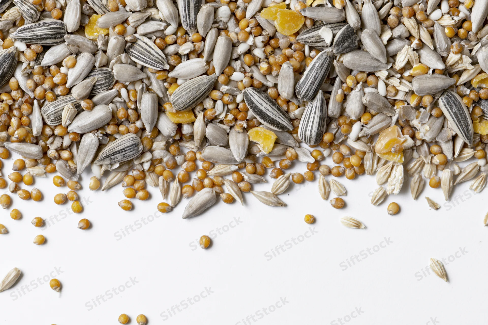 Mixed birdseed blend scattered across white surface viewed from above