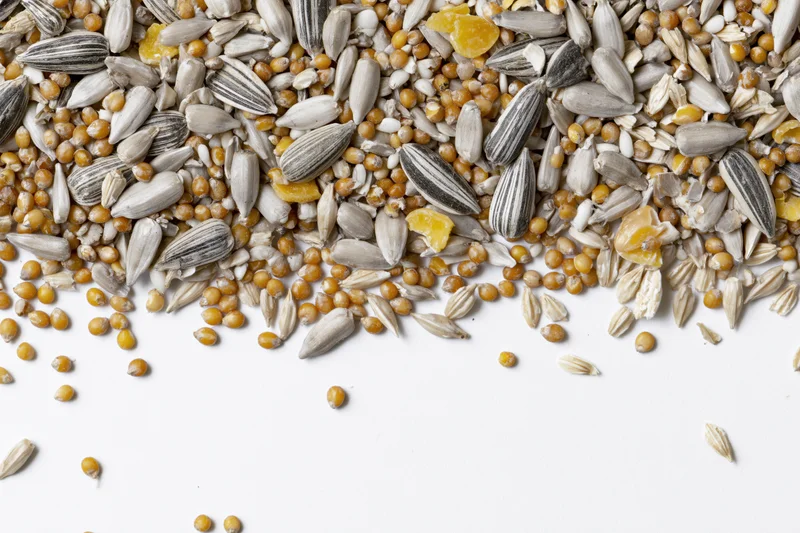 Mixed birdseed blend scattered across white surface viewed from above