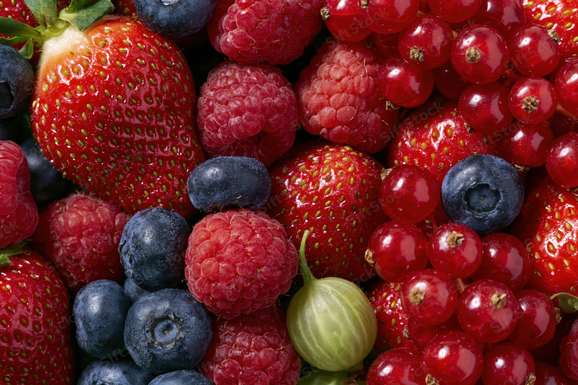 Mixed fresh berries including strawberries blueberries raspberries and redcurrants piled together in a closeup view